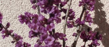 Wiosna ach to TY… - 24.03.2021